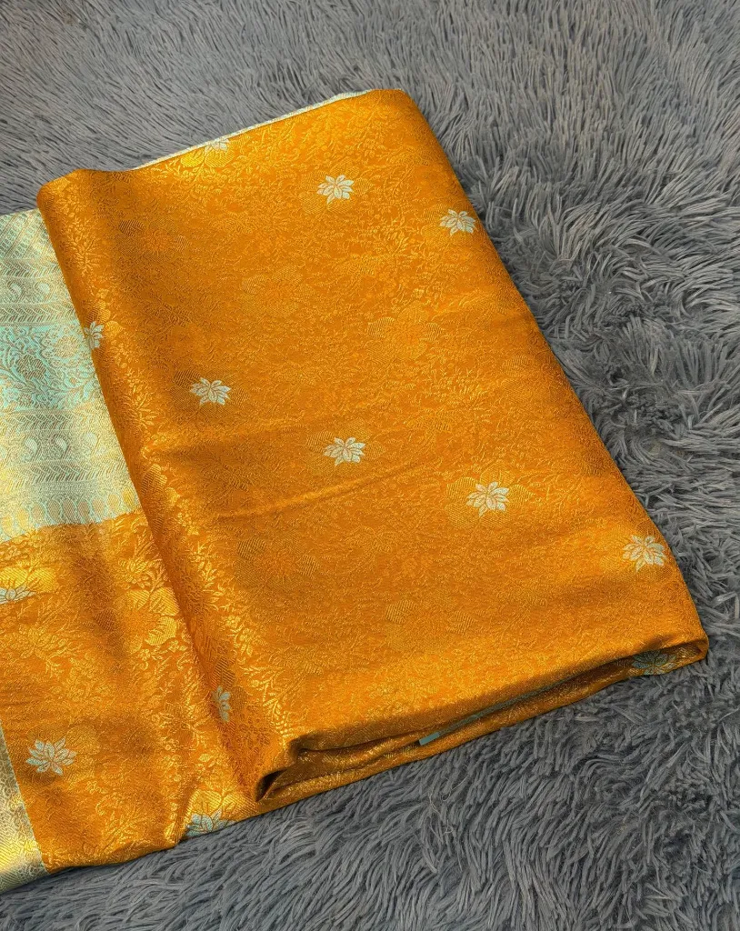 WhatsApp Image 2025-12-13 at 2.55.33 PM.webp