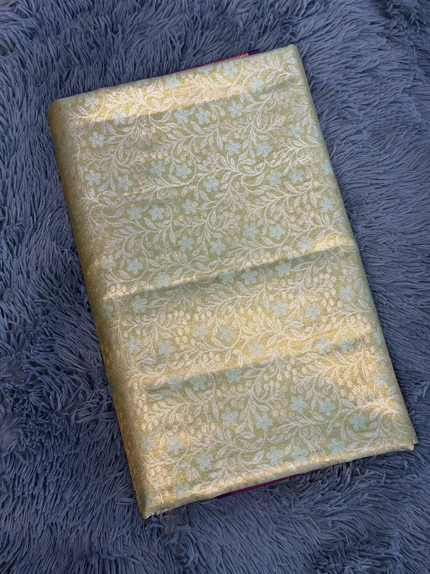 VV2399 light green body color with a striking purple contrast border