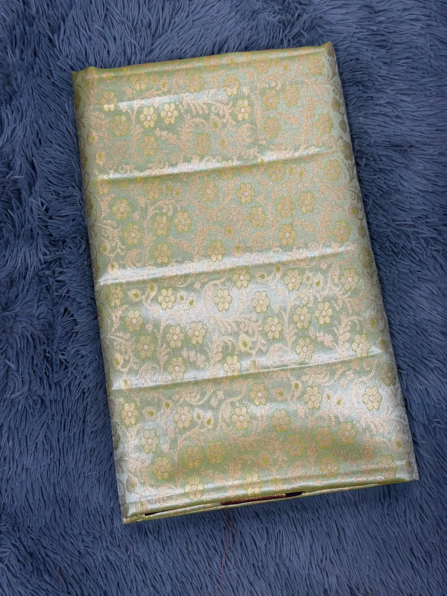 VV2399 Pastel Green With Shimmering Gold With Kanchipattu Saree